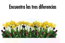 Differences